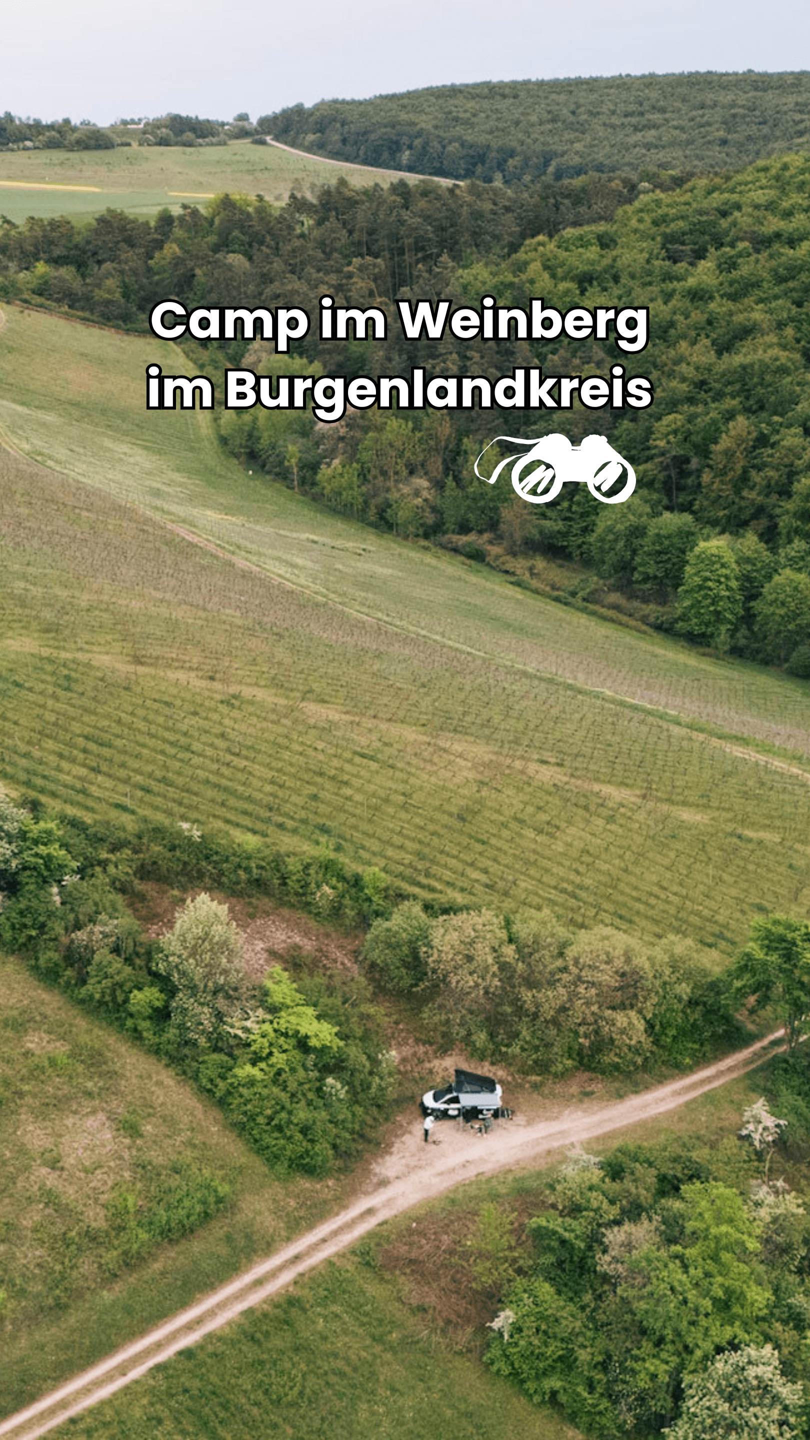 Camp Weinberg Saaleck (178)